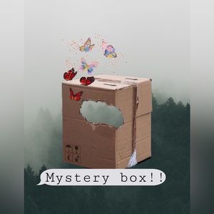 Oh, What have here? A mystery Box? Take a look.